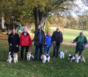 Foxterrierpromenad Hunneberg 18/10 2015